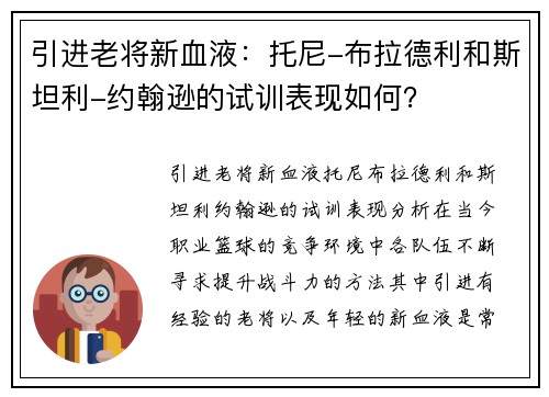 引进老将新血液：托尼-布拉德利和斯坦利-约翰逊的试训表现如何？